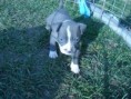 /album/foto-6-tyzden/dsc04230-jpg/